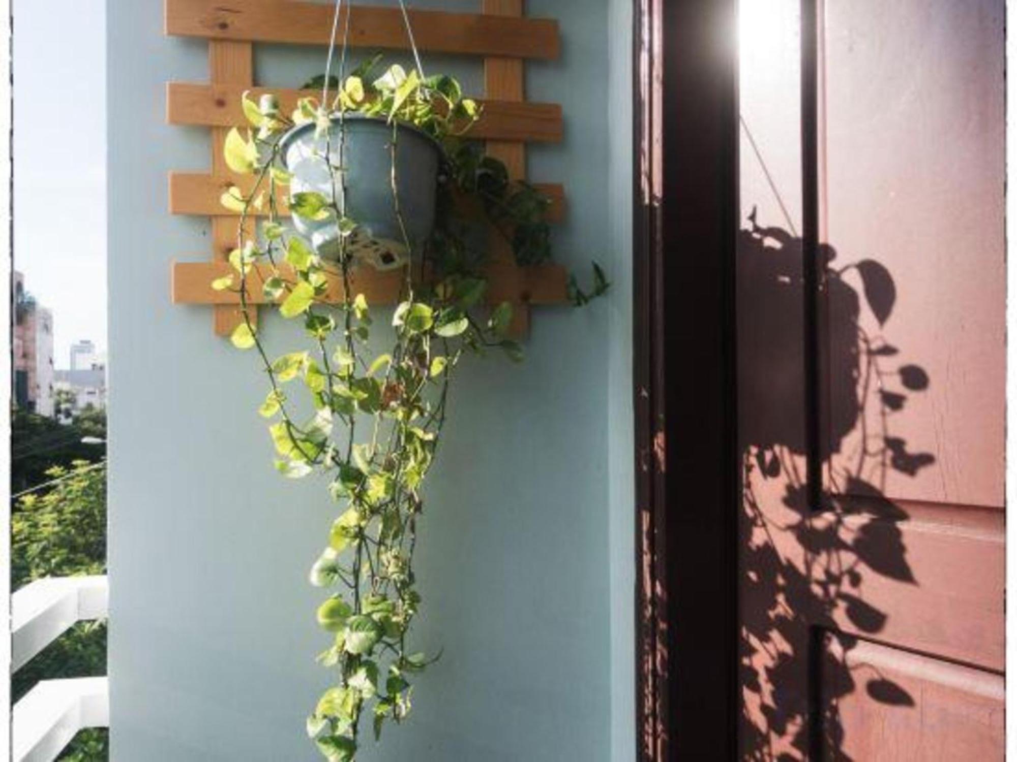 Oyo 1168 Elly'S Home 2 Da Nang Exterior photo